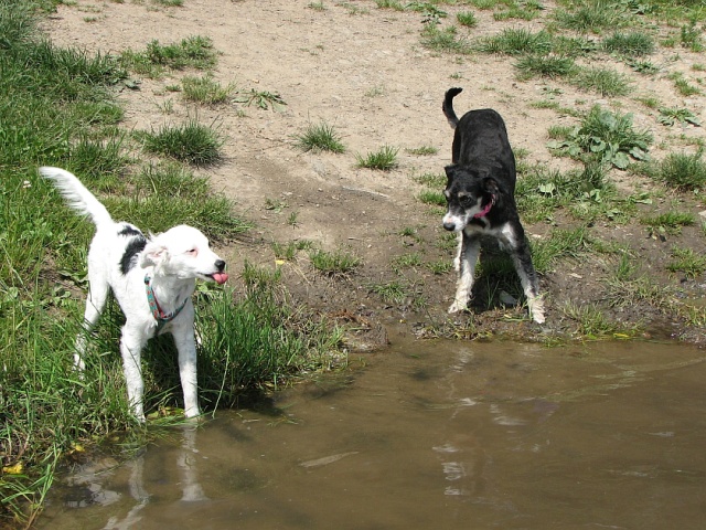 obrzek: 44.jpg; rozlien: 640  480 px; velikost 189 kB;